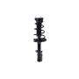FCS Struts 1333377L Suspension Strut and Coil Spring Assembly