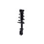 FCS Struts 1333377L Suspension Strut and Coil Spring Assembly