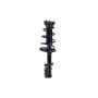 FCS Struts 1333377R Suspension Strut and Coil Spring Assembly