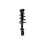 FCS Struts 1333377R Suspension Strut and Coil Spring Assembly