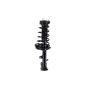 FCS Struts 1333379L Suspension Strut and Coil Spring Assembly