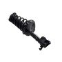 FCS Struts 1333379L Suspension Strut and Coil Spring Assembly