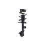 FCS Struts 1333390L Suspension Strut and Coil Spring Assembly