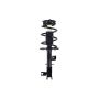 FCS Struts 1333390L Suspension Strut and Coil Spring Assembly