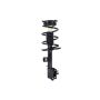 FCS Struts 1333390R Suspension Strut and Coil Spring Assembly