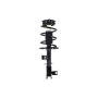 FCS Struts 1333390R Suspension Strut and Coil Spring Assembly