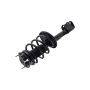 FCS Struts 1333393L Suspension Strut and Coil Spring Assembly