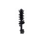 FCS Struts 1333395L Suspension Strut and Coil Spring Assembly