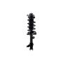 FCS Struts 1333395L Suspension Strut and Coil Spring Assembly