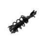 FCS Struts 1333402L Suspension Strut and Coil Spring Assembly