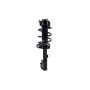 FCS Struts 1333402R Suspension Strut and Coil Spring Assembly