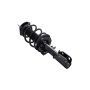 FCS Struts 1333404 Suspension Strut and Coil Spring Assembly