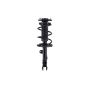 FCS Struts 1333412R Suspension Strut and Coil Spring Assembly