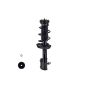 FCS Struts 1333415L Suspension Strut and Coil Spring Assembly