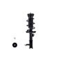 FCS Struts 1333415L Suspension Strut and Coil Spring Assembly
