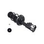FCS Struts 1333415L Suspension Strut and Coil Spring Assembly