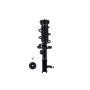 FCS Struts 1333415R Suspension Strut and Coil Spring Assembly