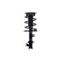 FCS Struts 1333426L Suspension Strut and Coil Spring Assembly