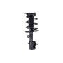 FCS Struts 1333426R Suspension Strut and Coil Spring Assembly