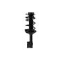 FCS Struts 1333431L Suspension Strut and Coil Spring Assembly