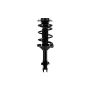 FCS Struts 1333431L Suspension Strut and Coil Spring Assembly