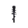 FCS Struts 1333432L Suspension Strut and Coil Spring Assembly