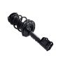 FCS Struts 1333432L Suspension Strut and Coil Spring Assembly