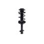 FCS Struts 1333439L Suspension Strut and Coil Spring Assembly