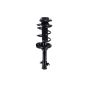 FCS Struts 1333439R Suspension Strut and Coil Spring Assembly