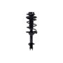 FCS Struts 1333439R Suspension Strut and Coil Spring Assembly
