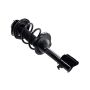 FCS Struts 1333439R Suspension Strut and Coil Spring Assembly