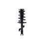 FCS Struts 1333444L Suspension Strut and Coil Spring Assembly