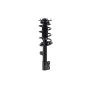FCS Struts 1333447L Suspension Strut and Coil Spring Assembly