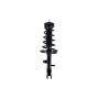FCS Struts 1333448R Suspension Strut and Coil Spring Assembly
