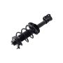 FCS Struts 1333452R Suspension Strut and Coil Spring Assembly