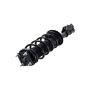 FCS Struts 1333453L Suspension Strut and Coil Spring Assembly