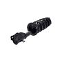 FCS Struts 1333453L Suspension Strut and Coil Spring Assembly