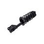 FCS Struts 1333453R Suspension Strut and Coil Spring Assembly