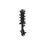 FCS Struts 1333454L Suspension Strut and Coil Spring Assembly