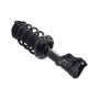 FCS Struts 1333454L Suspension Strut and Coil Spring Assembly