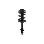 FCS Struts 1333459R Suspension Strut and Coil Spring Assembly