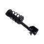 FCS Struts 1333460L Suspension Strut and Coil Spring Assembly