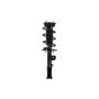FCS Struts 1333462L Suspension Strut and Coil Spring Assembly
