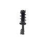 FCS Struts 1333466R Suspension Strut and Coil Spring Assembly