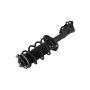 FCS Struts 1333466R Suspension Strut and Coil Spring Assembly