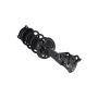 FCS Struts 1333466R Suspension Strut and Coil Spring Assembly