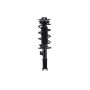 FCS Struts 1333467R Suspension Strut and Coil Spring Assembly