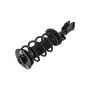 FCS Struts 1333467R Suspension Strut and Coil Spring Assembly