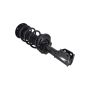FCS Struts 1333467R Suspension Strut and Coil Spring Assembly