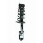 FCS Struts 1333471L Suspension Strut and Coil Spring Assembly